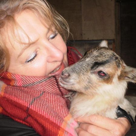boerderijkamer Korenbloem Onstwedde Buitenkant foto