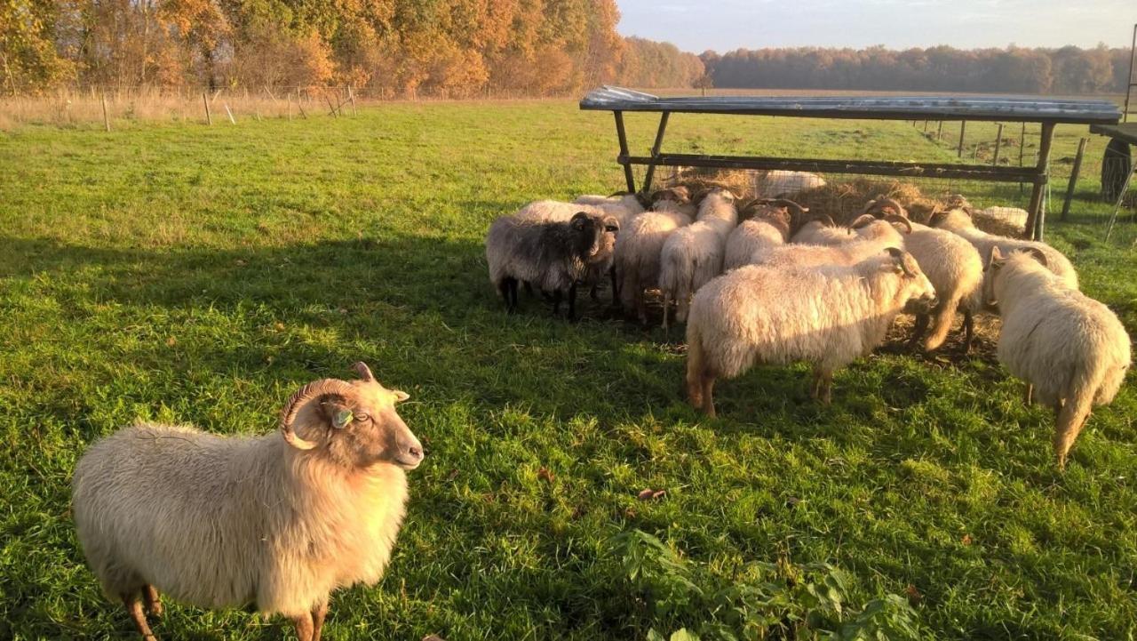 boerderijkamer Korenbloem Onstwedde Buitenkant foto