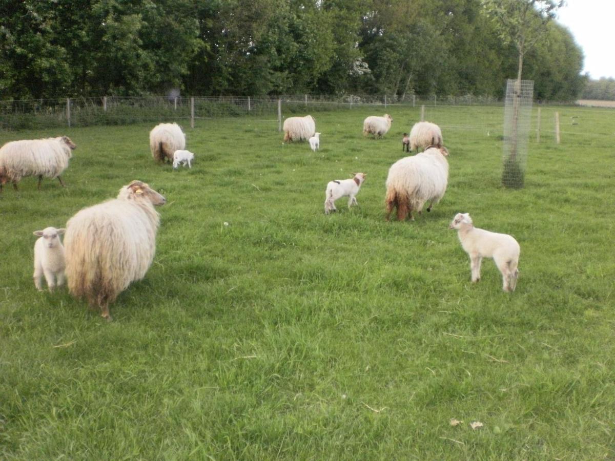 boerderijkamer Korenbloem Onstwedde Buitenkant foto