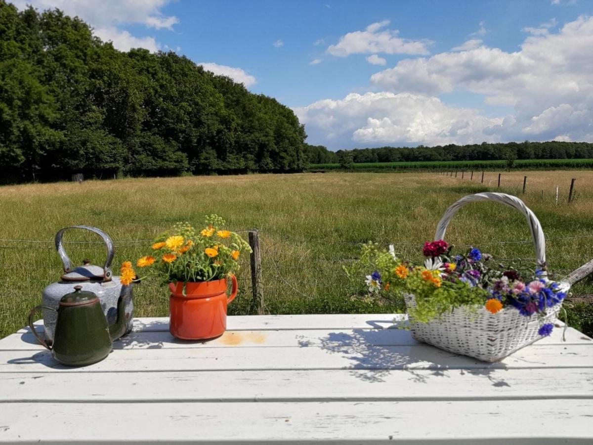 boerderijkamer Korenbloem Onstwedde Buitenkant foto