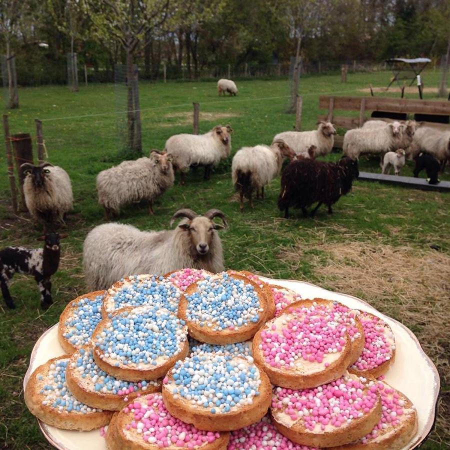 boerderijkamer Korenbloem Onstwedde Buitenkant foto